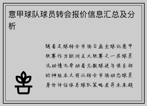 意甲球队球员转会报价信息汇总及分析