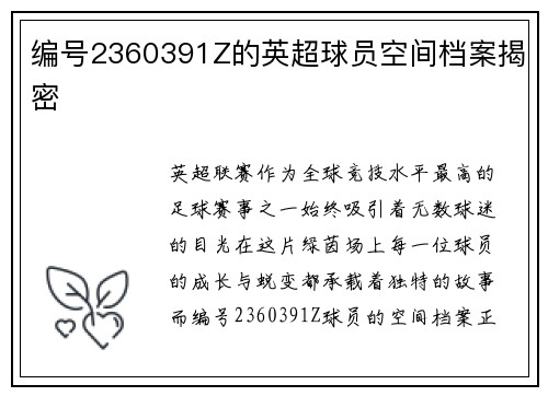 编号2360391Z的英超球员空间档案揭密