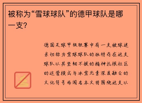 被称为“雪球球队”的德甲球队是哪一支？